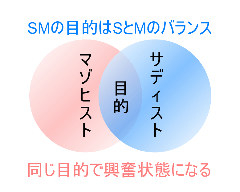 SとMの目的図